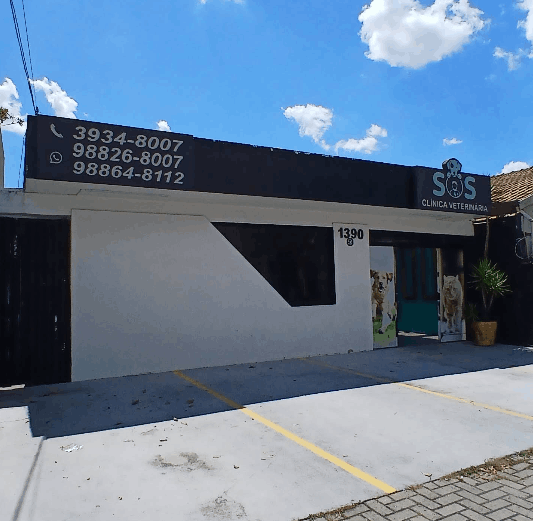 clinica veterinaria 24h - ajudando seu pet