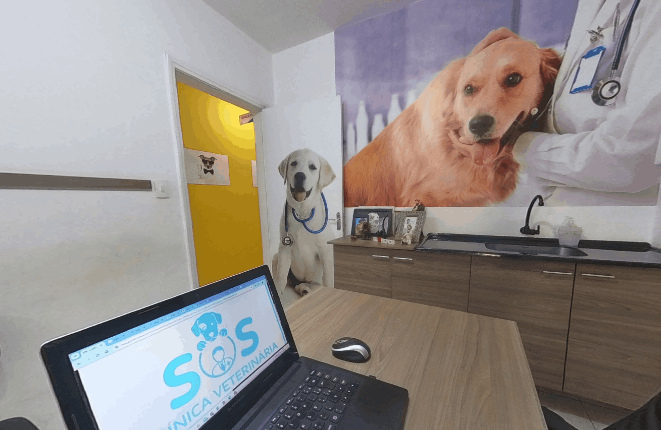 clinica veterinaria 24h - ajudando seu pet